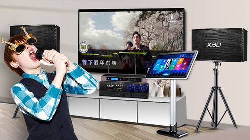 炫寶迪點(diǎn)歌機(jī)哪款型號(hào)更優(yōu)？音質(zhì)效果與評(píng)測(cè)全面解析